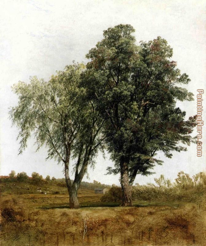 John Frederick Kensett A Study of Trees
